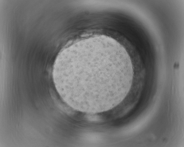 X0000111890767200909031904