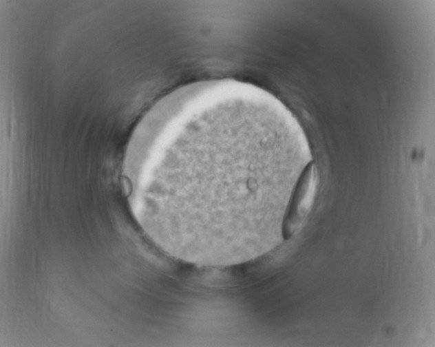 X0000111890768200909031904