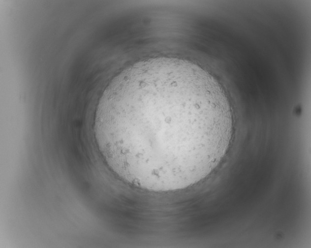 X0000111890769200909031904