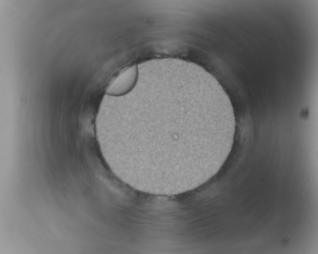 X0000111890770200909031904