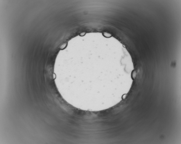 X0000111890772200909031904