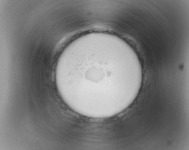 X0000111890776200909031904