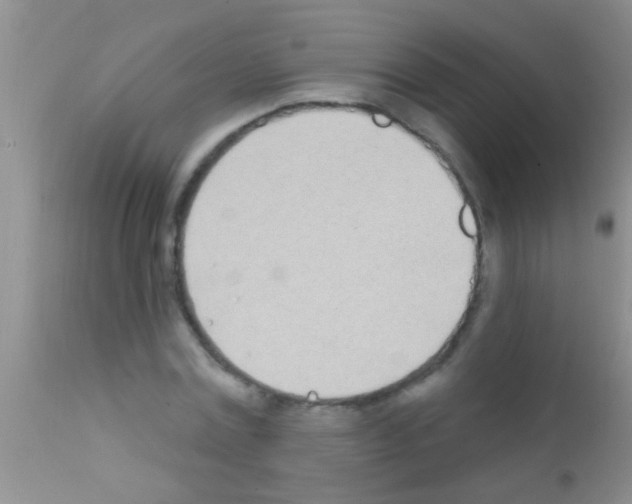 X0000111890779200909031904