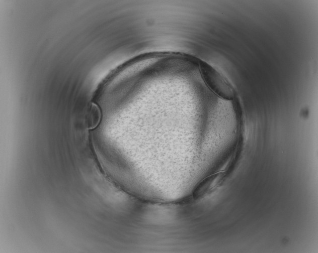 X0000111890781200909031904