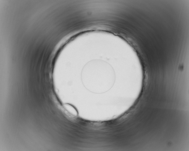 X0000111890784200909031904