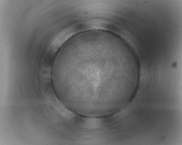 X0000111890785200909031904