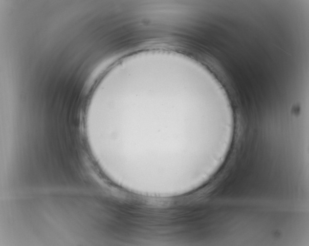 X0000111890788200909031903