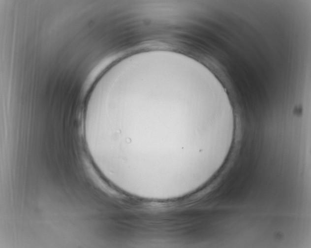 X0000111890796200909031903