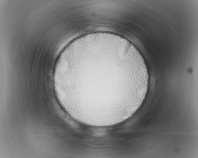 X0000111890798200909031903