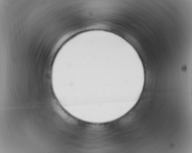 X0000111890800200909031903