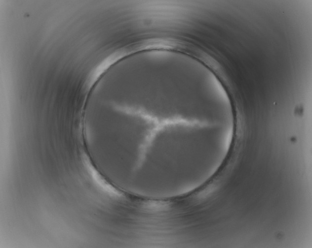 X0000111890802200909031903