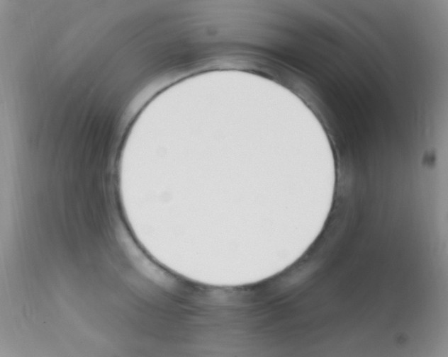 X0000111890803200909031903