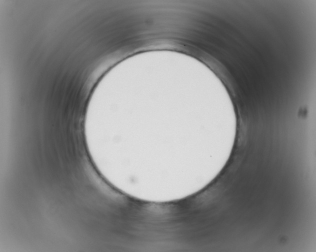 X0000111890805200909031903