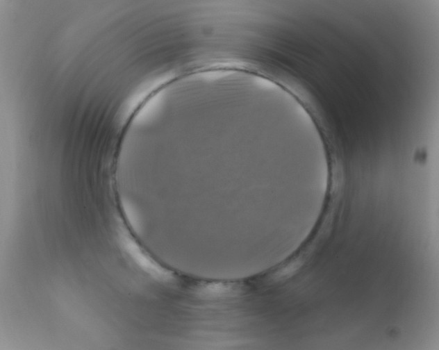 X0000111890806200909031903