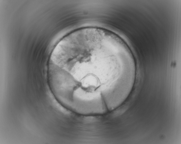 X0000111890807200909031903