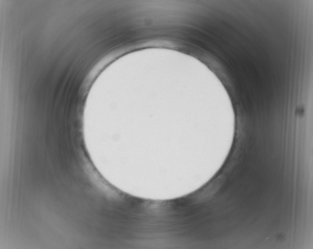 X0000111890808200909031903