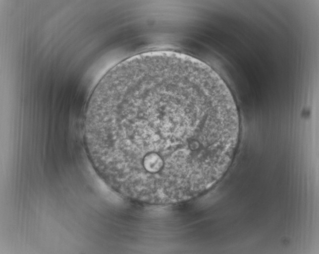 X0000111890810200909031903