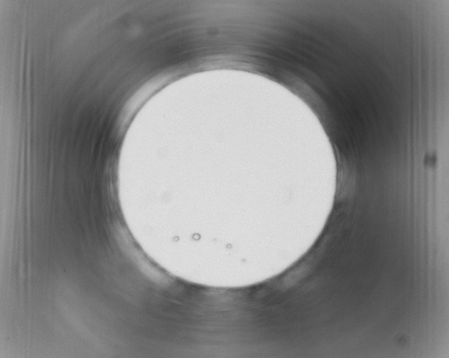 X0000111890812200909031903