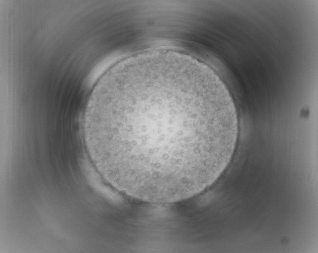 X0000111890814200909031903