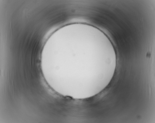 X0000111890815200909031903