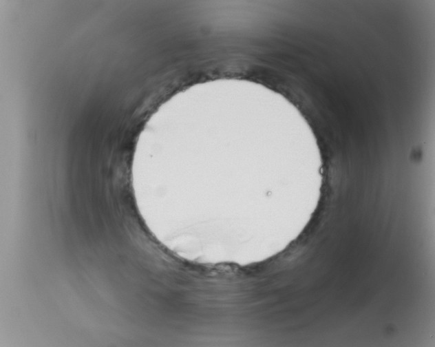 X0000111890818200909031902