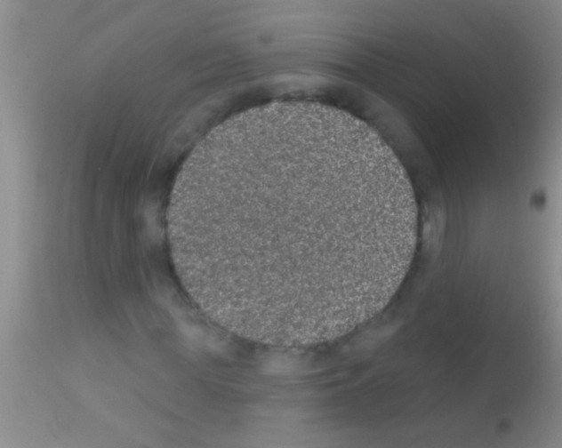 X0000111890819200909031902