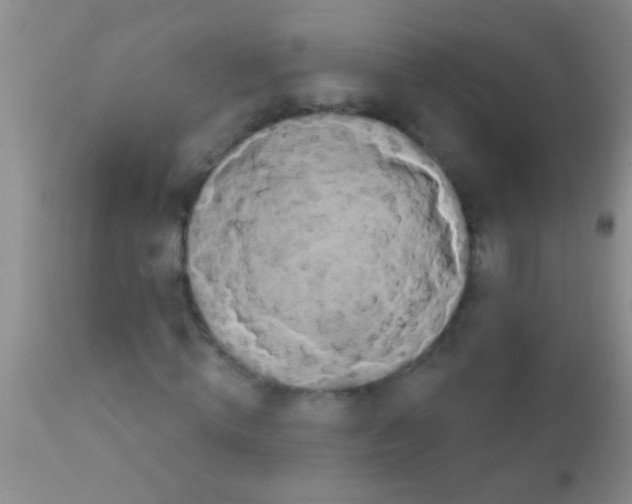 X0000111890820200909031902