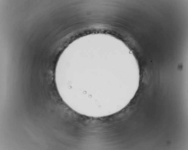 X0000111890821200909031902