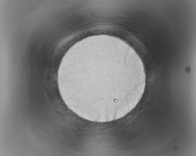 X0000111890822200909031902