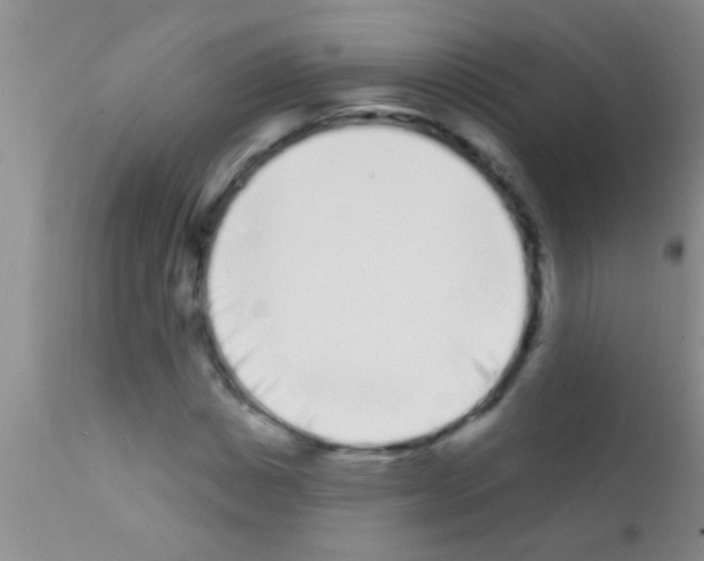 X0000111890825200909031903