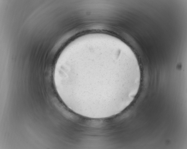 X0000111890831200909031903