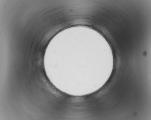 X0000111890833200909031903