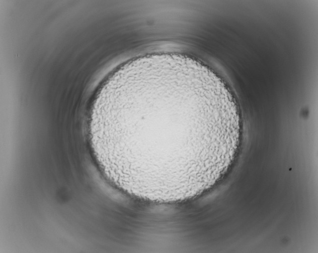 X0000111890835200909031903