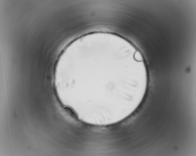 X0000111890837200909031903