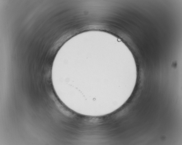 X0000111890841200909031903