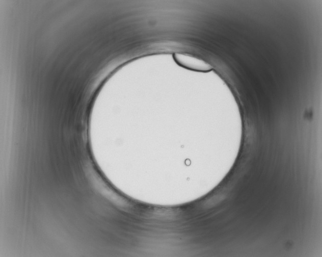 X0000111890843200909031903