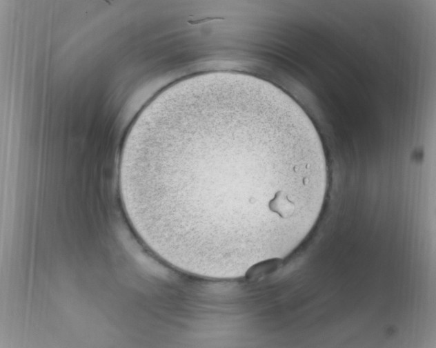 X0000111890844200909031903