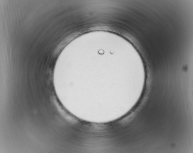 X0000111890849200909031903