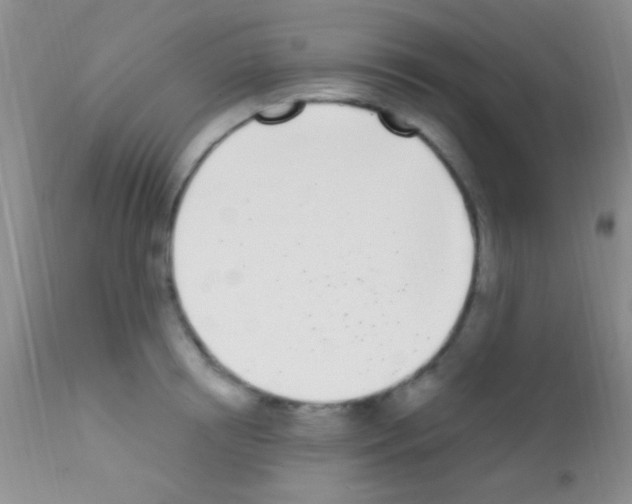 X0000111890850200909031903