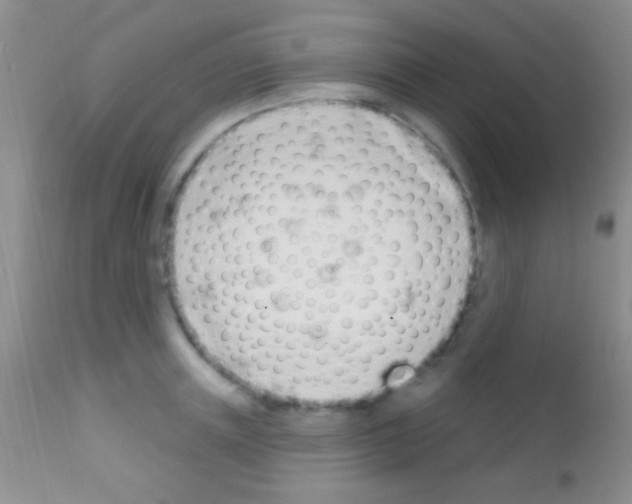 X0000111890851200909031903