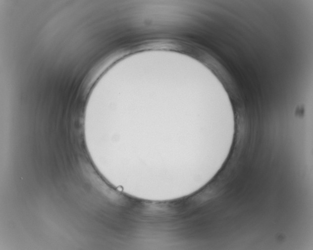 X0000111890852200909031903