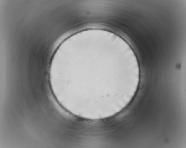 X0000111890853200909031903