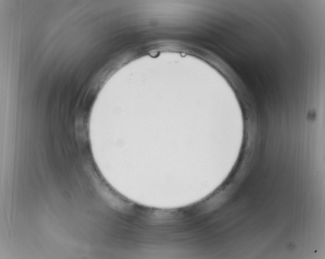 X0000111890857200909031903