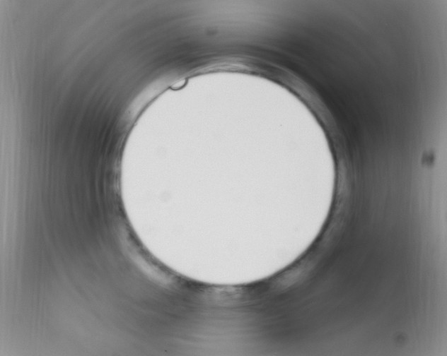 X0000111890858200909031903