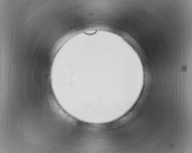 X0000111890860200909031903