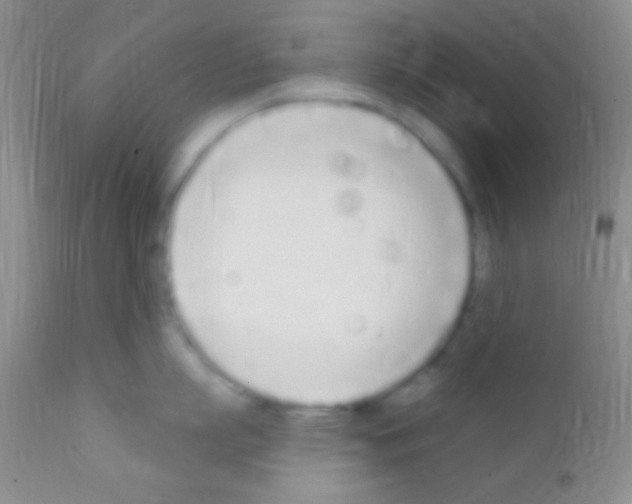 X0000111890863200909031903