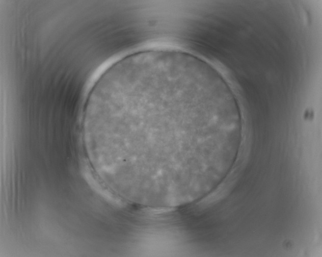 X0000111890864200909031903