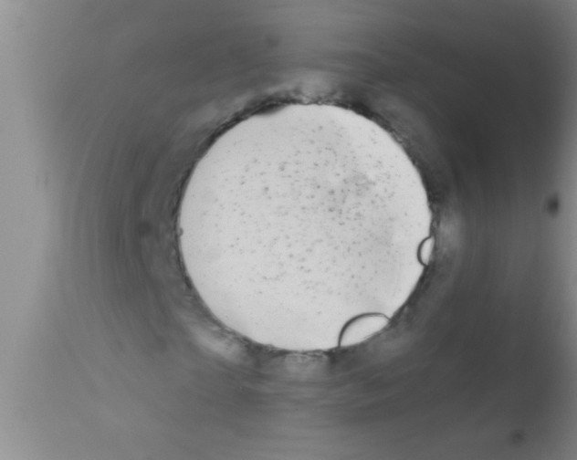 X0000111890865200909031902