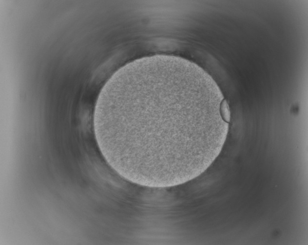 X0000111890866200909031902