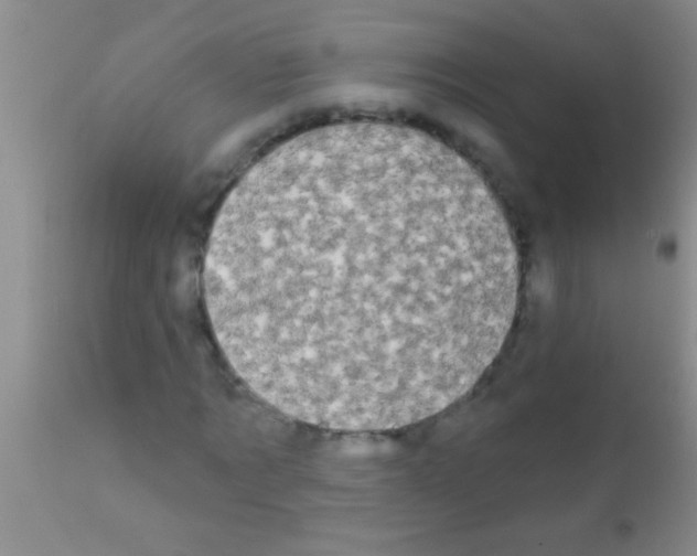 X0000111890869200909031902